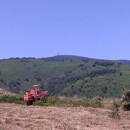 Çiftlik konaklama Agriturismo La Valle Dei Ciliegi Paola
