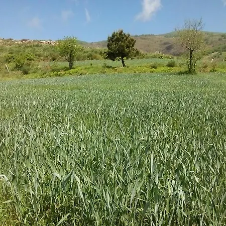 Çiftlik konaklama Agriturismo La Valle Dei Ciliegi Paola