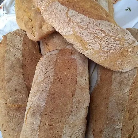 Çiftlik konaklama Agriturismo La Valle Dei Ciliegi