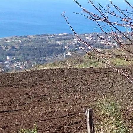 Agriturismo La Valle Dei Ciliegi Çiftlik konaklama Paola